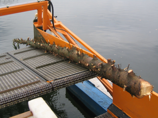 MC 202 picking up floating debris